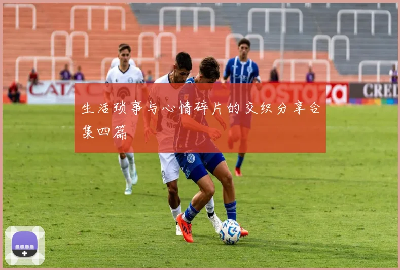 生活琐事与心情碎片的交织分享合集四篇