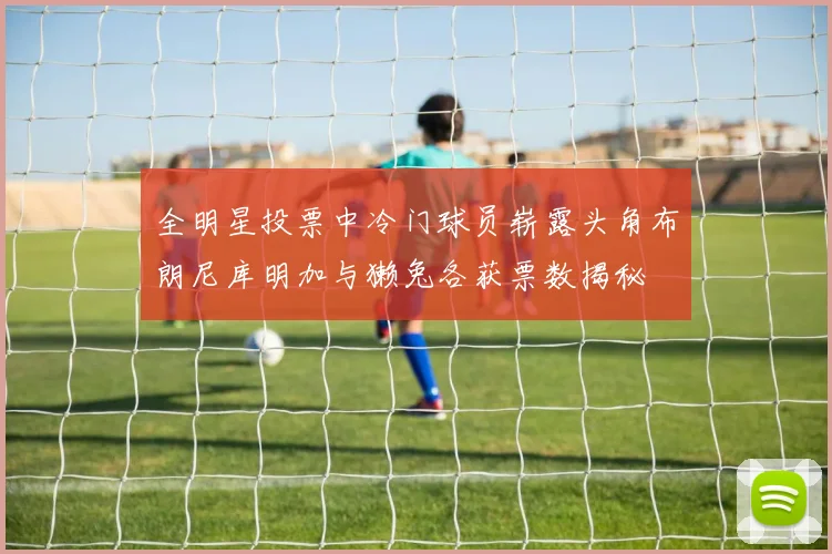 全明星投票中冷门球员崭露头角布朗尼库明加与獭兔各获票数揭秘